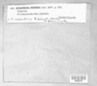 Umbilicaria hirsuta image